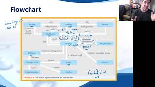 OC29 Organic Chemistry Reaction Pathways [upl. by Avrom]