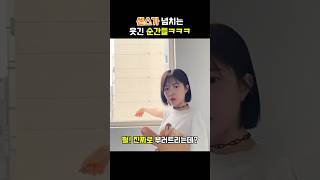 유머 재밌는동영상 웃긴영상 funny 웃긴짤센스가 넘치는 웃긴 순간들ㅋㅋㅋ [upl. by Bowes]