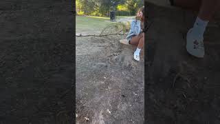 ThIS WAS A TREE BUT CUT DOWN FROM HURRICANE HELENE AT THE PARKhurricanehelene trees park [upl. by Adleremse]