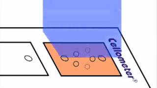 How Dualfluorescent AOEB Assays Work for Cell Concentration and Viability [upl. by Tristram]