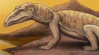 Proterosuchus The Apex Predator Of The Early Triassic [upl. by Otir634]