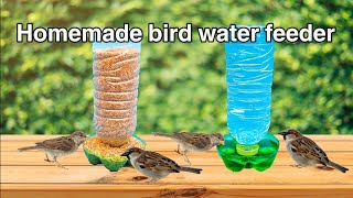 bird feeder homemade  Feeding wild birdsSparrowbricolage [upl. by Nomsed]