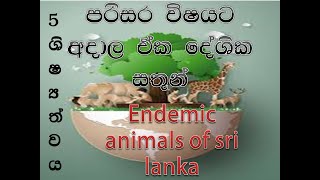 Endemic animals of sri lanka [upl. by Netsud]