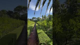 Jardín de l’Albarda L’Albarda Garden  PedreguerAlicante [upl. by Nelle]