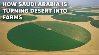 How Saudi Arabia Is Turning Desert into Huge Farmlands [upl. by Eusebio]