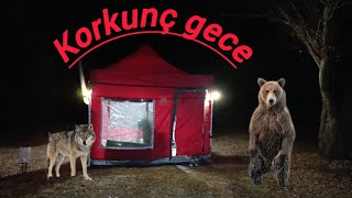 KÂBUS GİBİ KAMP SCARY NIGHT çadırkamp kampvideo camping kamp [upl. by Cletis]