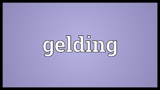 Gelding Meaning [upl. by Notgnirra]