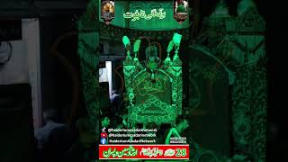 Taboot 28 SAFAR SHAHADAT IMAM HASSAN MUJTAB AS Imamia imam bargah jhelum short taboot [upl. by Artemus859]