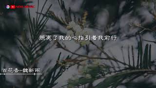 百花香—魏新雨『你就是春天裡的青草秋天裡的飛鳥 愛情海洶湧的波濤』【動態歌詞Lyrics】1小时 [upl. by Rokach783]