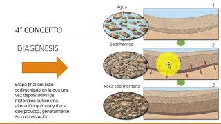 Procesos Sedimentarios [upl. by Peterson]