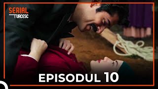 Pitulicea  Episodul 10 [upl. by Laekcim]