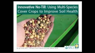 Innovative NoTill Using MultiSpecies Cover Crops to Improve Soil Health [upl. by Aliakim782]