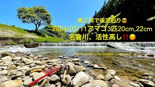 20240511 奥三河で渓流釣り😎 アマゴ3匹、20cm、22cm…😆名倉川、活性高し‼️😏 Stream Fishing in the Japanese countryside [upl. by Valsimot]