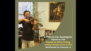 1778 viola by GB Guadagnini Owned by Chicago Symphony Orchestra [upl. by Jena]