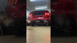 S550 w muffler delete cold start s550 mustang mustangexhaust exhaust [upl. by Corly404]