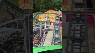 wild mouse i TosselillaTomelilla sweden wildmouse [upl. by Etteuqal384]