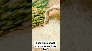 Sapne me chawal dekhne se kya hota hai [upl. by Etnecniv]