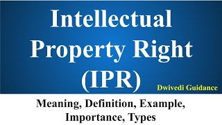 Intellectual Property Rights IPR Meaning Definition Examples Benefits of IPR UPSC NCERT Bba [upl. by Airahcaz412]