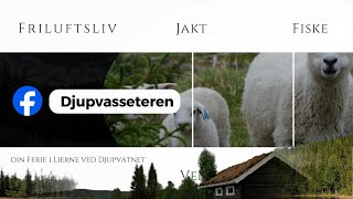 Djupvasseteren [upl. by Duyne]