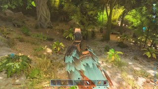 ARK Survival Ascended Easy Dino Stone Farming w Doedicurus [upl. by Anyala938]