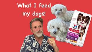 What Do I Feed My Dogs Science Diet Wellness Orijen [upl. by Enerak385]