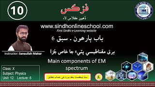 Main components of Electromagnetic Spectrum  Physics Class 10  Chapter 12  Lecture 6  SOS [upl. by Elva]