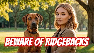 Why You Shouldnt Own a Rhodesian Ridgeback  Ridgeback  Rhodesian Ridgeback Guard Dog [upl. by Kurtzman529]