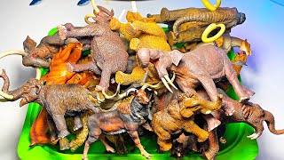 Prehistoric Animals Collection  Woolly Mammoth Smilodon Megacerops Woolly Rhino Mastodon [upl. by Sabec]