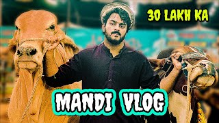 Sohrab Goth Mandi 2021  Karachi Cow Mandi  Mishkat khan The Fun Fin  Prank with People [upl. by Maximilien]