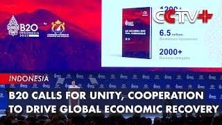 B20 Calls for Unity Cooperation to Drive Global Economic Recovery [upl. by Keener395]