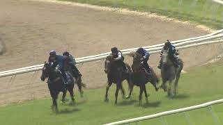 Heat 8 Doomben Jumpouts 0810 [upl. by Gnaht10]