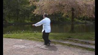 Li Lee Style Tai Chi short [upl. by Fonsie]