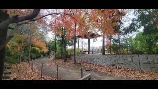 One of Osaka Japans park [upl. by Hcir]