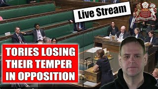 Tories Losing Their Tempers In first Week of Opposition [upl. by Yxel974]