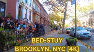 Life in BedStuy Brooklyn NYC Fall 2024 New York City Walking Tour 4K [upl. by Ramirolg627]