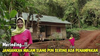 Merinding  Jumpa Satu Keluarga Yang Tinggal 30 Tahun Di Rumah Pinggir Hutan [upl. by Nyledam604]