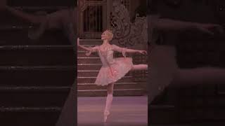 The Nutcracker  The Sugar Plum Fairy Dance  Rewinding [upl. by Simona471]