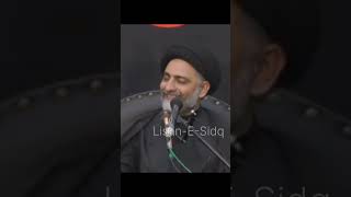 Wasiyat nama shaheed ka  Ustad Nusrat Abbas Bukhari nusratbukharinb latestmajlis [upl. by Jude268]