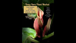 Texas Rare Plant Market AROID Exhibition and Sale 2022 [upl. by Eelrahc]