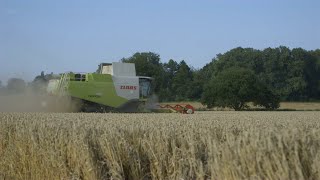 Volle Ladung Ernte bei AGRAVIS auf Hochtouren [upl. by Lairea]