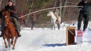 Thrilling Extreme Horse Ski Joring Races [upl. by Ayikat773]