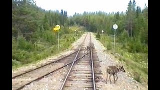 Sweden Inland Railway ARVIDSJAUR  KÅBDALIS 1997 Train Drivers Cab View from YF1 1329 [upl. by Proudman]