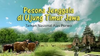 Alas Purwo  Pesona Jenggala di Ujung Timur Jawa [upl. by Novyaj]