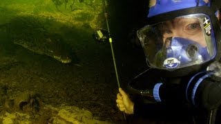 Nile Crocodiles Diving with a deadly predator [upl. by Aramit]