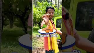 गोवा की Intercropping System😱🔥आपके यहां कौनसी Irrigation System है  indianfarmer shorts [upl. by Lenoil]