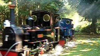 Exbury Gardens Railway Exmoor Army 1 [upl. by Osithe]