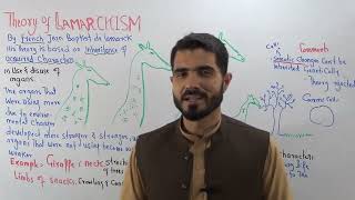 L3 Biology ii Theory of Lamarckism Use and disuse of organs Lecture 3 by Dr A Hadi [upl. by Kcirdnekel]