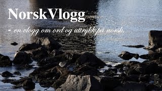 NorskVlogg 5 å regneå regne med [upl. by Asehr434]