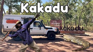 Kakadu  Crocodiles  Aboriginal culture [upl. by Sublett]