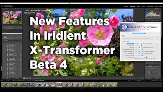 A Look at the New Features in XTransformer Beta 4 [upl. by Ennaehr]